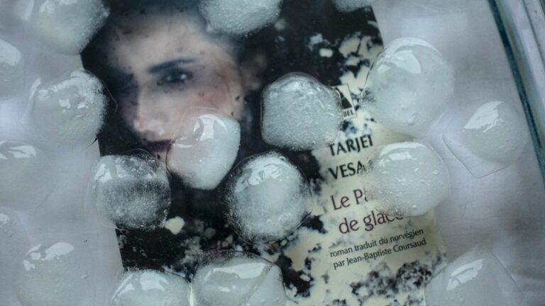 The Ice Palace by Tarjei Vesaas: A Norwegian Literary Masterpiece for Winter