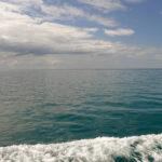 A Love Letter to the Love Game