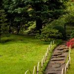 The Signature Green Salad