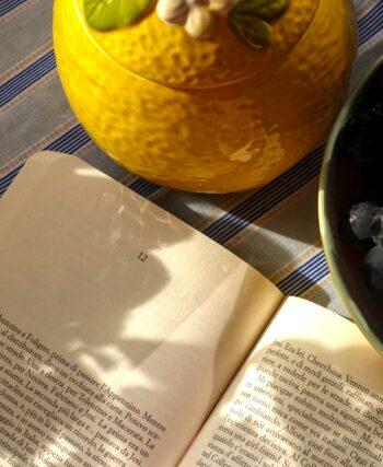 An open book, black grapes in a bowl and a ceramic lemon bowl