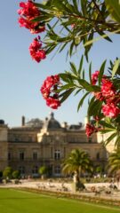 jardin_du_luxembourg_paris (14)