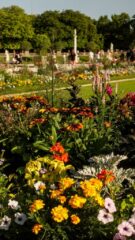 jardin_du_luxembourg_paris (27)