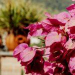 Book-Inspired Winter Recipes: Warming Comfort Food