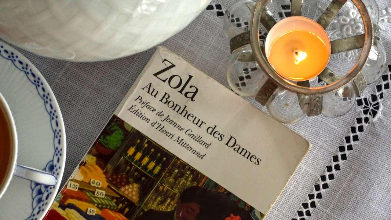 book cover of Emile Zola's novel Au Bonheur des Dames The Ladie's Paradise