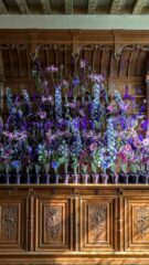 Chaumont_sur_Loire_Fleurir_est_un_Art (27)