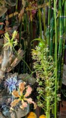 Chaumont_sur_Loire_Fleurir_est_un_Art (3)