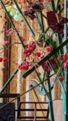 Chaumont_sur_Loire_Fleurir_est_un_Art (40)