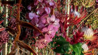 Chaumont_sur_Loire_Fleurir_est_un_Art (9)