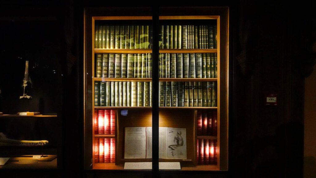 antique bookcase with leather bound collection of classics under dim light