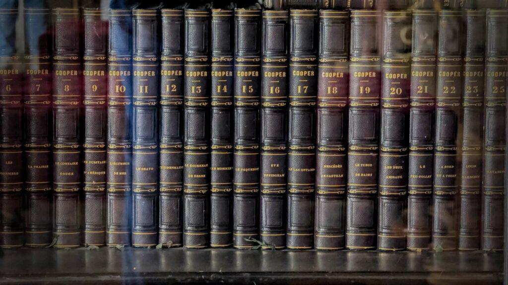 Leather bound books in a classic collection
