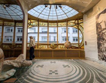 Interior view of Maison Hannon, capturing the light and 'slow living' atmosphere of 19th-century Brussels.