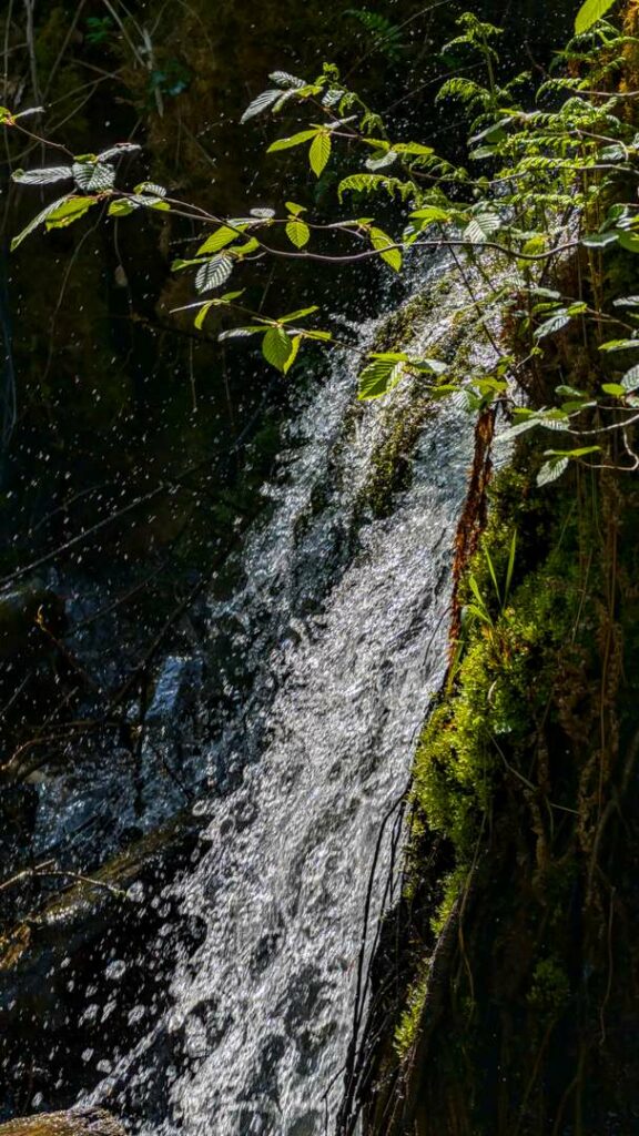 Close-up of a narrow waterfall cascading over dark mossy rock with bright spring leaves catching the light