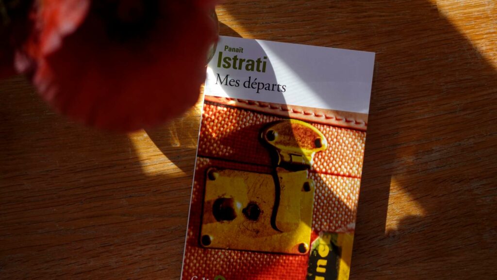 Mes Départs by Panaït Istrati in warm dappled light on a wooden surface with a red poppy in the foreground
