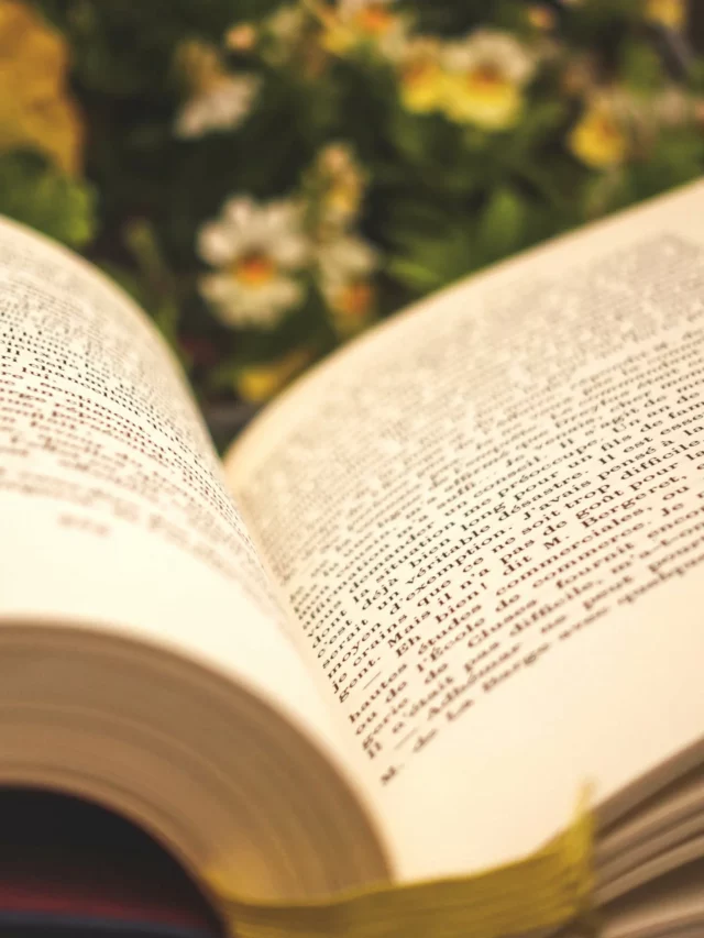 “There is a temperate zone in the mind, between luxurious indolence and exacting work; and it is to this region, just between laziness and labor, that summer reading belongs.”
 — Henry Ward Beecher

#SummerReading #Bookstagram #ReadInNature #BooksAndBlooms #LiteraryLife #BookQuote #MindfulReading #BookAesthetic #ReadersOfInstagram #CozyAesthetic #TheRitualOfReading