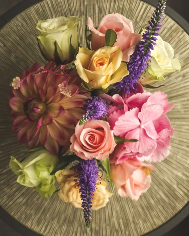 There’s a quiet kinship between reading and gardening.
One calls on the mind, the other on the hands—but both tend the spirit.

This week on the blog, I’ve written a gentle reflection on the harmony between books and gardens.
On the slow, hopeful rhythm of beginnings.
On the solitude that grounds us, so we can open more fully to the world.

🌸 Gardens and Readers: Cultivating Ideas, Harvesting Serenity is now live on the blog. Link in bio.

Tell me—what’s growing in your literary garden this month?

#theritualofreading #literarylife #gardensandbooks #slowliving #readingritual #creativebalance #summerreading #gentlereading #bookishmeditation
