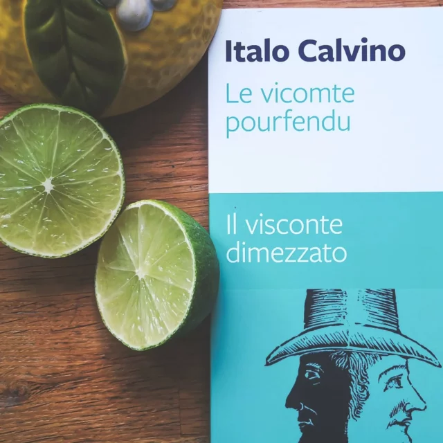🌗 The Wisdom of Being Half
We spend so much of life chasing wholeness — the “other half,” the missing pieces, the perfect balance. But what if being fractured isn’t failure… but revelation?

In my latest essay, I explore the Italo Calvino quote that stayed with me through my own life-altering moment — when I quite literally lost half my sight — and how loss can sharpen vision in unexpected ways.

This isn’t about romanticizing pain, but about recognizing the strange luminosity that can appear after life’s storms. Sometimes it’s not about becoming whole again… but about seeing more deeply with what remains.

✨ Read The Wisdom of Being Half now on Bookmarked Moments by The Ritual of Reading— link in bio.

#TheRitualOfReading #ItaloCalvino #LifeLessons #PerspectiveShift #Transformation #LossAndGrowth #BookstagramEssay #WisdomInWords